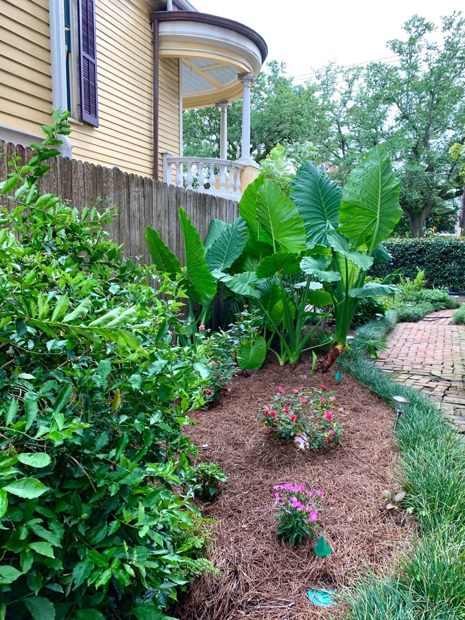 French Quarter Lanaux Mansion Bed And Breakfast Новий Орлеан Номер фото